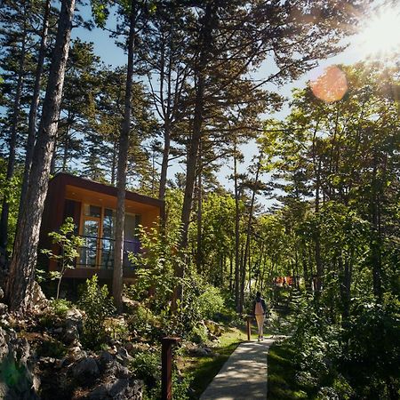 Theodosius Forest Village - Glamping In Vipava Valley Экстерьер фото